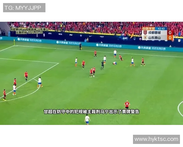 成都排球队意识争议引发热议球迷与专家观点碰撞激烈